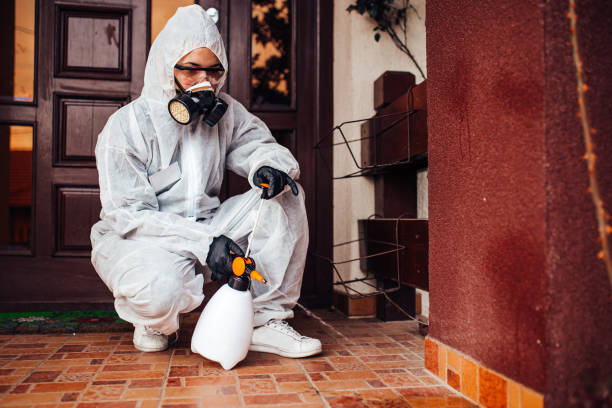 Reliable Ant Control contractor in Ecru, MS by Show Me Pest Control
